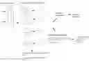 Fig. 01 - Methods and Kits for Predicting Treatment Response in Type II Diabetes Mellitus Patients
