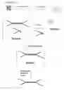 Fig. 03 - Method of preparing libraries of template polynucleotides