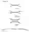 Fig. 04 - Method of preparing libraries of template polynucleotides