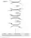 Fig. 06 - Method of preparing libraries of template polynucleotides
