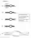 Fig. 11 - Method of preparing libraries of template polynucleotides