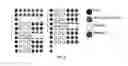 Fig. 04 - DETECTION OF ANTIVIRAL RESISTANCE IN INFLUENZA A USING DNA MICROARRAY