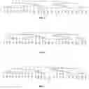 Fig. 02 - METHOD FOR THE DETERMINATION AND THE CLASSIFICATION OF RHEUMATIC CONDITIONS