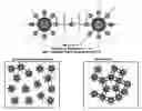 Fig. 01 - Methods for detecting molecular interactions