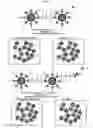 Fig. 03 - Methods for detecting molecular interactions