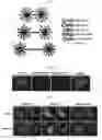 Fig. 10 - Methods for detecting molecular interactions