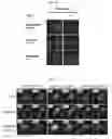 Fig. 12 - Methods for detecting molecular interactions