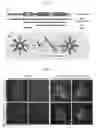 Fig. 13 - Methods for detecting molecular interactions