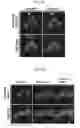 Fig. 16 - Methods for detecting molecular interactions