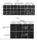 Fig. 20 - Methods for detecting molecular interactions