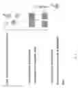 Fig. 09 - Methods for detecting fetal abnormality
