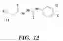 Fig. 13 - High throughput screens for small-molecule inhibitors of the nuclear receptor-like pathway regulating multidrug resistance in fungi