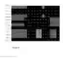 Fig. 05 - PROTEIN ANALYSIS