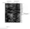 Fig. 06 - PROTEIN ANALYSIS