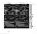 Fig. 07 - PROTEIN ANALYSIS