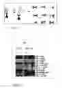 Fig. 10 - PROTEIN ANALYSIS