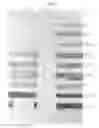 Fig. 04 - Ink cleaning composition and methods for use