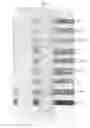 Fig. 07 - Ink cleaning composition and methods for use