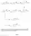 Fig. 02 - ANTICANCER TOCOPHERYL SUCCINATE DERIVATIVES