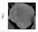 Fig. 02 - Thermoplastic resin composition, production method thereof, and molded article