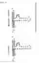 Fig. 06 - Ribozyme to cleave coronavirus gene