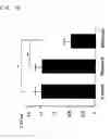 Fig. 11 - Ribozyme to cleave coronavirus gene