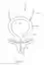 Fig. 02 - SPHINCTERIC CONTROL SYSTEM