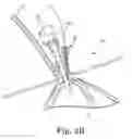 Fig. 05 - Auto-closure apical access positioner device and method