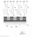 Fig. 04 - Array of electroacoustic transducers and electronic probe for three-dimensional imaging