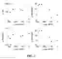 Fig. 06 - DETECTING ISCHEMIA WITH NONLINEAR HEART RATE VARIABILITY MEASURES