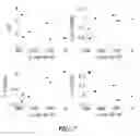 Fig. 08 - DETECTING ISCHEMIA WITH NONLINEAR HEART RATE VARIABILITY MEASURES