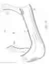 Fig. 04 - Squat and lunge training device