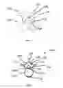 Fig. 02 - System and method for micro-invasive transfacet lumbar interbody fusion