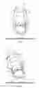Fig. 03 - Apparatus and method for active stabilization of a two wheeled single track vehicle