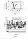 Fig. 07 - Nucleic acid amplification determining method and nucleic acid amplification determining device