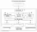 Fig. 01 - Method and system for presenting and processing multiple text-based medical reports