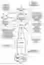 Fig. 02 - Automatically assessing drug interactions while protecting patient privacy