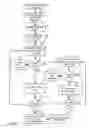 Fig. 09 - BINARY SOFTWARE BINARY IMAGE ANALYSIS