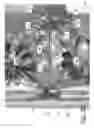 Fig. 07 - Jewelry setting