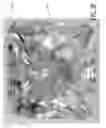 Fig. 08 - Jewelry setting