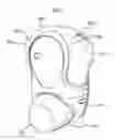 Fig. 06 - ACTUATOR FOR AN INHALER
