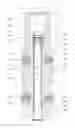 Fig. 07 - Expandable reamer apparatus