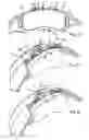 Fig. 03 - Disk brake, in particular for commercial vehicles, and hold-down spring of such a disk brake