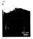 Fig. 06 - Electrothermal focussing for the production of micro-structured substrates