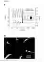 Fig. 07 - Electrothermal focussing for the production of micro-structured substrates