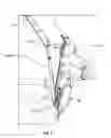 Fig. 06 - HOLSTER APPARATUS FOR USE WITH FIREARMS
