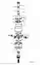 Fig. 06 - Variable range sprinkler apparatus and variable range sprinkler pattern method
