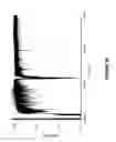 Fig. 09 - Molecular ion accelerator