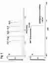 Fig. 04 - Atmospheric pressure ion source moving transport interface for a mass spectrometer