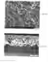 Fig. 06 - External extraction light emitting diode based upon crystallographic faceted surfaces
